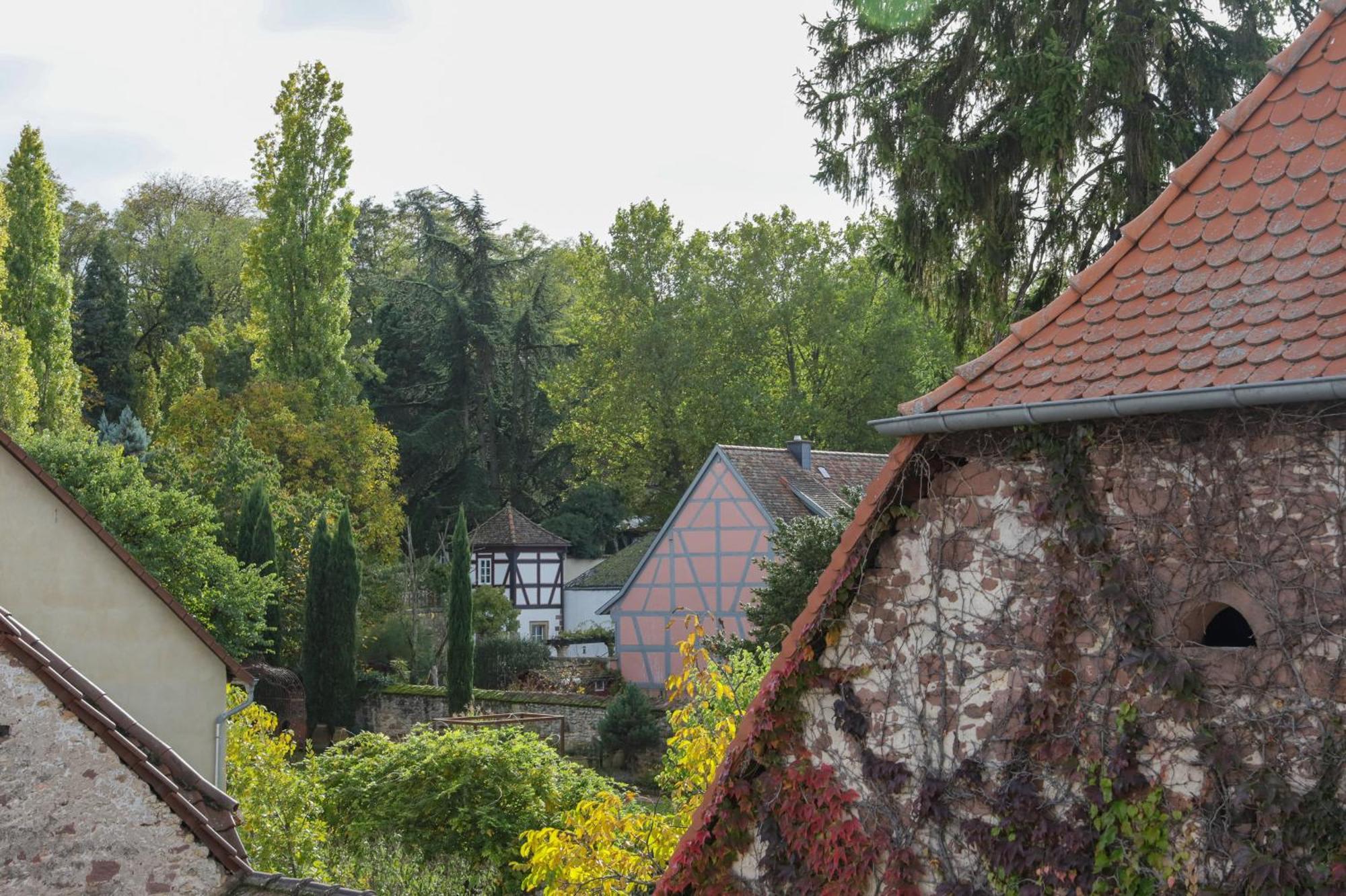 Boutique-Hotel Im Sternenhof Grosskarlbach Buitenkant foto